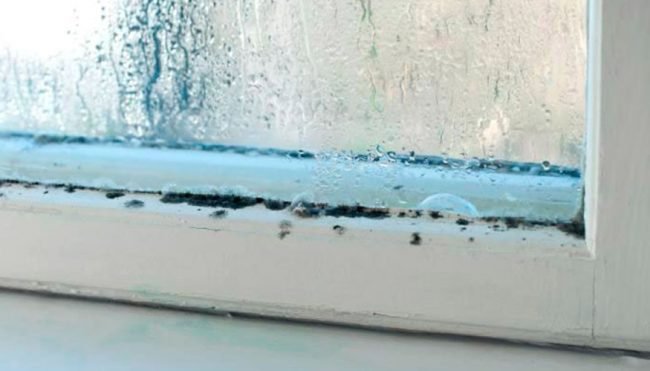 tips-for-cleaning-windows