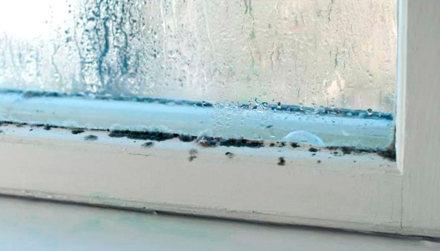 tips-for-cleaning-windows