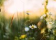 Spring into Clean: Transforming Your Business Space with Expert Spring Cleaning Services