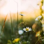 Spring into Clean: Transforming Your Business Space with Expert Spring Cleaning Services